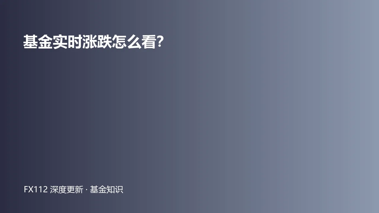 基金正式净值盘中估值与持仓滞后关系图